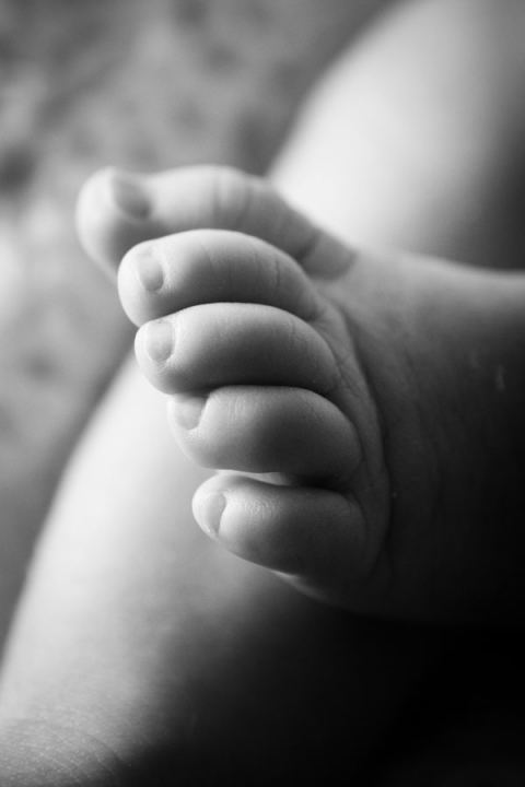 Photographe Portrait Naissance Famille Montpellier Pierre Abramovici