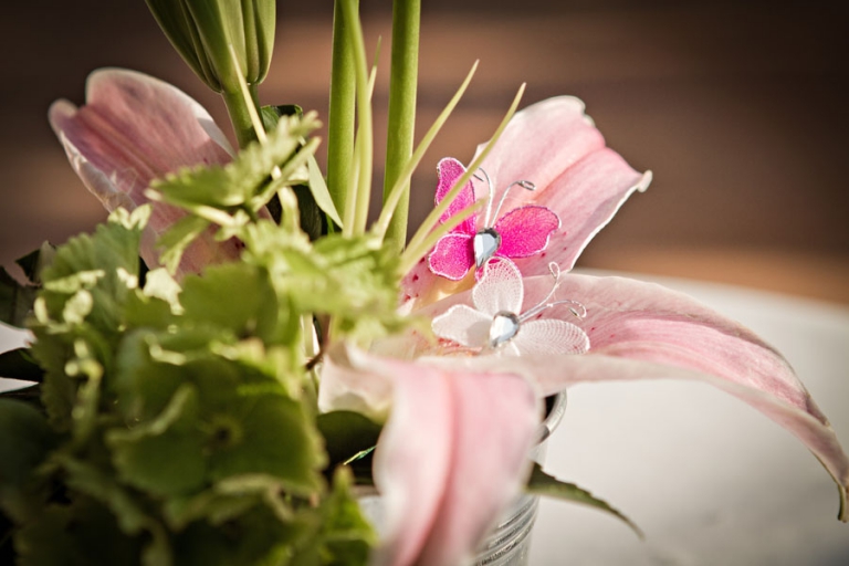 Photographe Mariage Montpellier Abbaye de Vignogoul Domaine de la Vière Pierre Abramovici