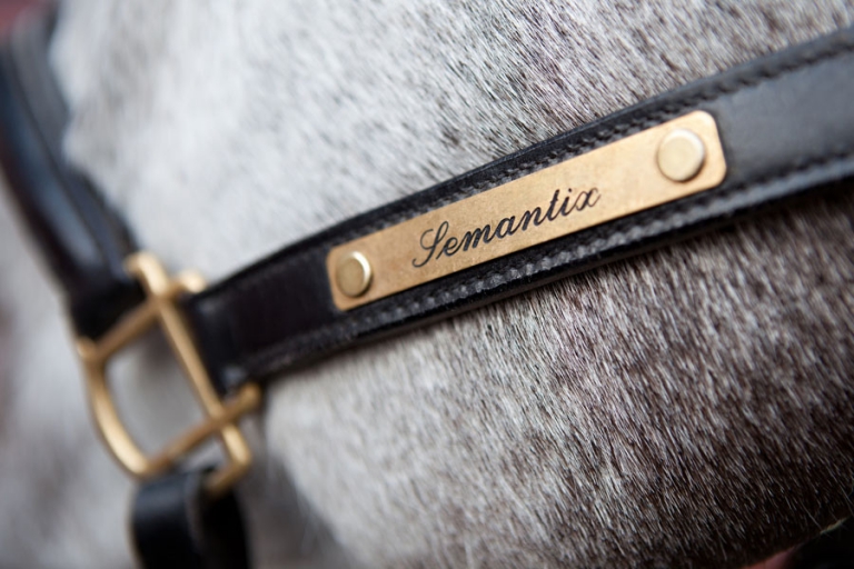 Photographe Événementiel Nîmes Bellegarde Pierre Abramovici