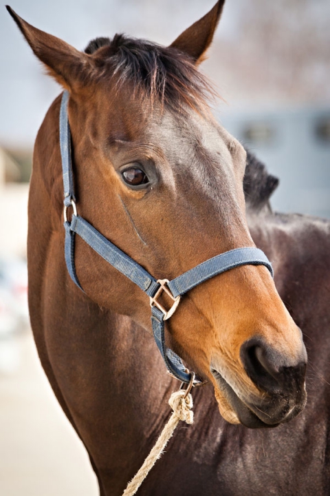Photographe Événementiel Nîmes Bellegarde Pierre Abramovici