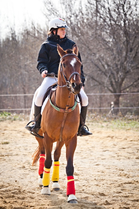 Photographe Événementiel Nîmes Bellegarde Pierre Abramovici