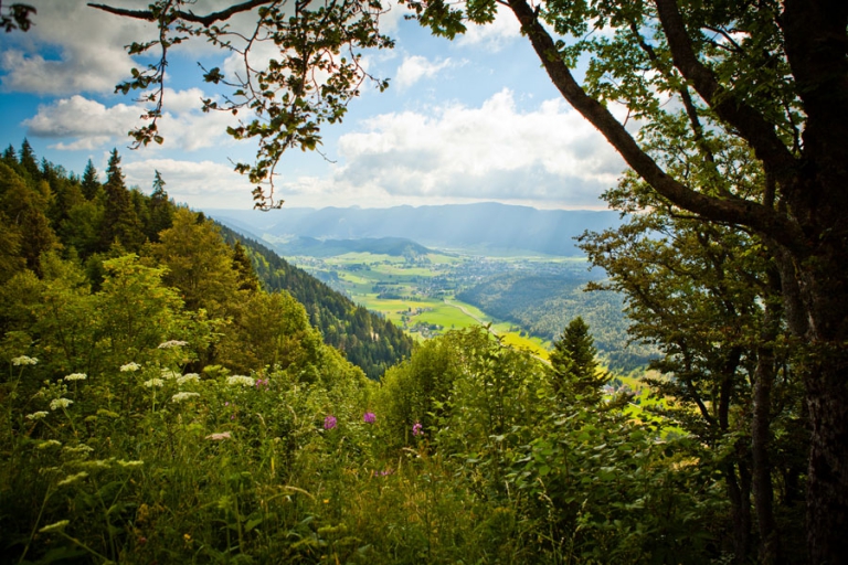 Photographe Mariage Montpellier Grenoble Tullins Grange aux Fées Pierre Abramovici